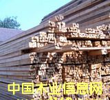 ����鿴��ľҎ���ϷŴ�ͼƬ