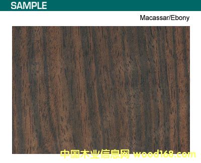 ����鿴��̴�Ŵ�ͼƬ