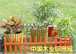 ����鿴��ľ���۲�Ʒ�Ŵ�ͼƬ