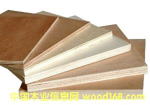 ����鿴okoume plywood�Ŵ�ͼƬ