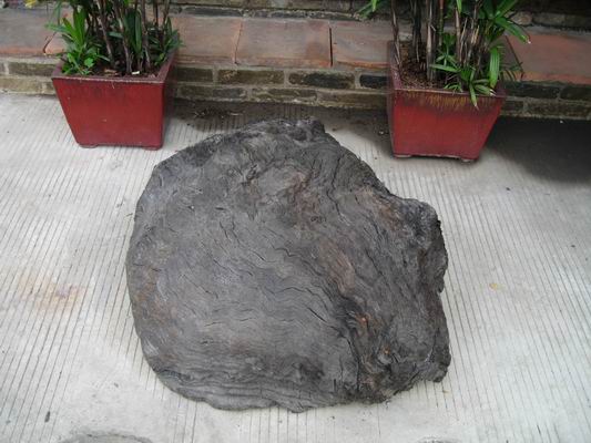 ����鿴����ǧ������ľ�����Ŵ�ͼƬ