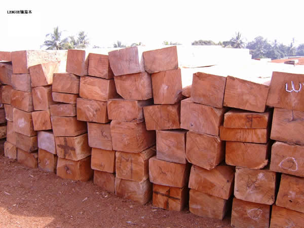 ����鿴����ľ�Ŵ�ͼƬ