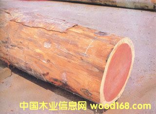 ����鿴����ľ�Ŵ�ͼƬ