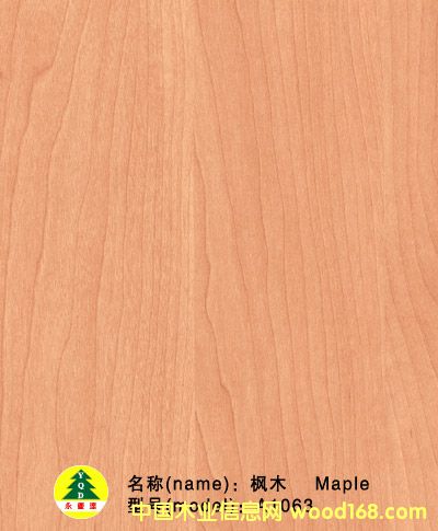 ����鿴PUֽ�Ŵ�ͼƬ