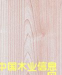 ����鿴����ֽ�Ŵ�ͼƬ
