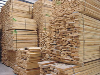 ���ϰ״�����������ľ����ľ