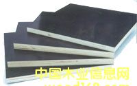 ����鿴������Ĥ����ϸ����