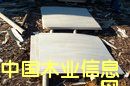 ����鿴��ľ,��ľ����Ŵ�ͼƬ