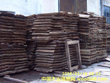 皮子的详细介绍