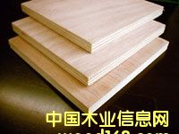 产品的详细介绍