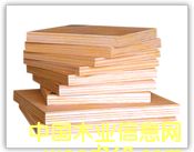 产品展示的详细介绍