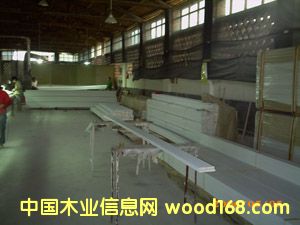 �ſ����ϸ����