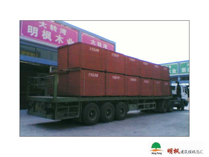 ����鿴����ģ����ϸ����