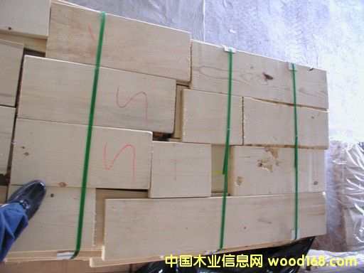 ����鿴������ľ�Ŵ�ͼƬ