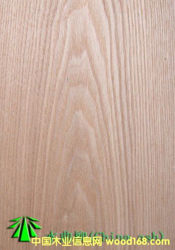 ����鿴ˮ�����Ŵ�ͼƬ