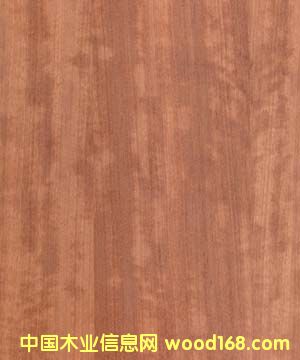 ����鿴�������Makore�Ŵ�ͼƬ