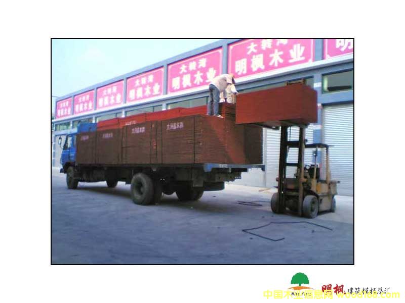 ����鿴LIAO��ϸ����