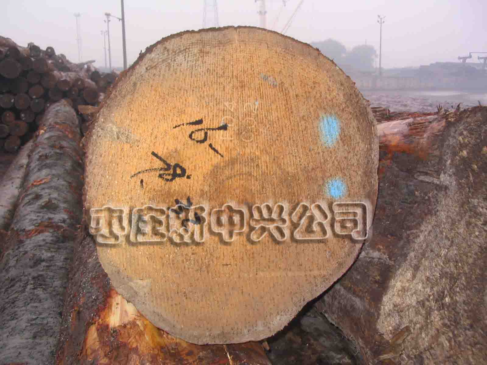 ����鿴��ɼ�Ŵ�ͼƬ