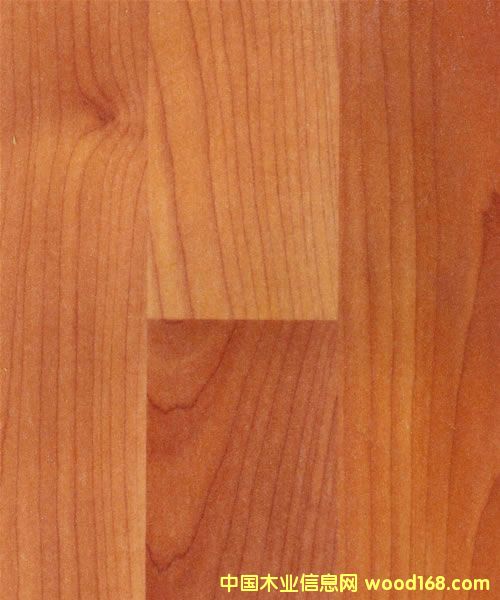 ����鿴ɭ�ڸ��ϵذ�Ŵ�ͼƬ