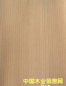 ɼ/ɼľƤ(ֱ)hemlock(Q)