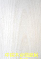 ()ľƤ china yunan birch(c