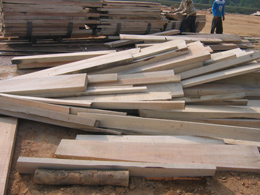 ����鿴��ľ��ķŴ�ͼƬ