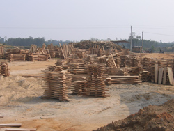 ����鿴��ľ���䳧��һ�ǷŴ�ͼƬ