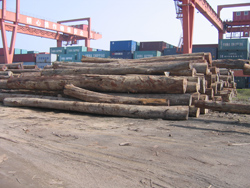 ����鿴�Ĵ����Ǻ���Ŵ�ͼƬ