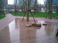 ����鿴��ľ�ذ�Ŵ�ͼƬ