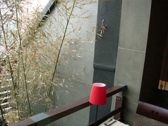 VIVAľ˿ˮ�����ϸ����