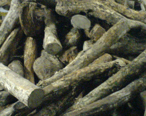 ����ľ����ϸ����