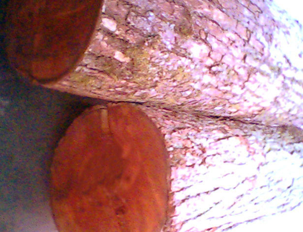 �컨��ľ����ϸ����