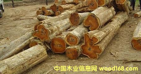 鿴ľԭľteakҾ߲ķŴͼƬ