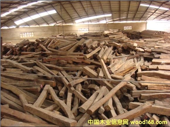 ����鿴��֦ľ�Ŵ�ͼƬ