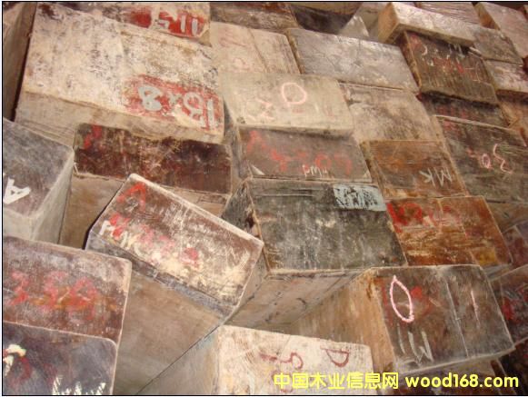 ����鿴��ľ�Ŵ�ͼƬ