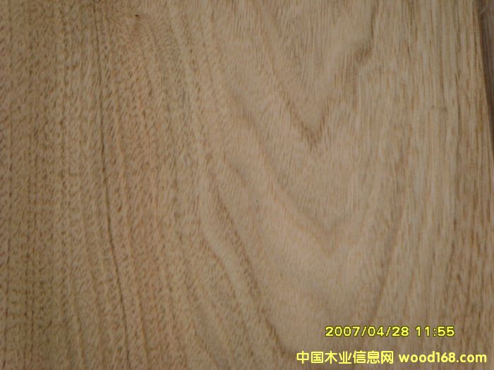 ����鿴�ľ�Ŵ�ͼƬ