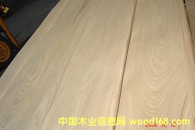 ����鿴��ľ�Ŵ�ͼƬ