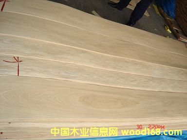 ����鿴��ľ�Ŵ�ͼƬ