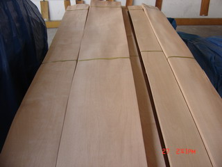 ����鿴���������ϸ����