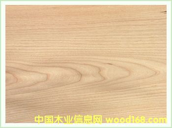 ����鿴ӣ�ҷŴ�ͼƬ