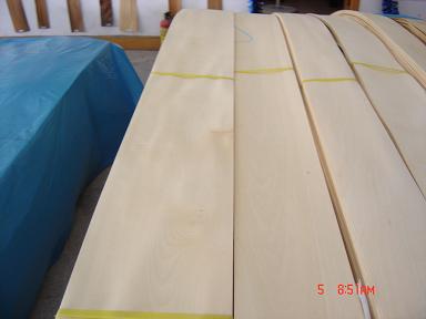 ����鿴��ľ������ϸ����