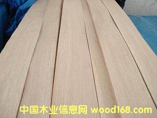 ����鿴����Ŵ�ͼƬ