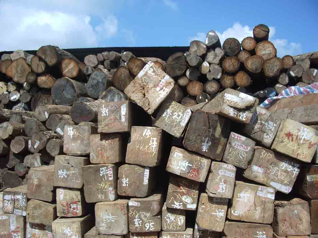 ����鿴����ľҵ�Ŵ�ͼƬ