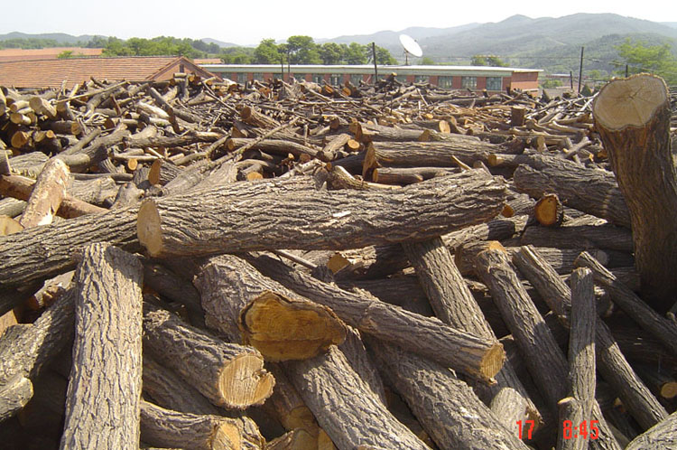 ����鿴����ľҵ�Ŵ�ͼƬ