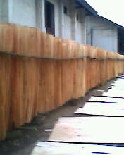 �а����ϸ����