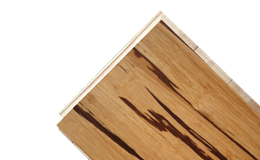 ����鿴��˿���ϰ�Ŵ�ͼƬ