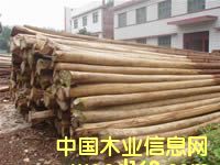 ����鿴ɼԭ���Ŵ�ͼƬ