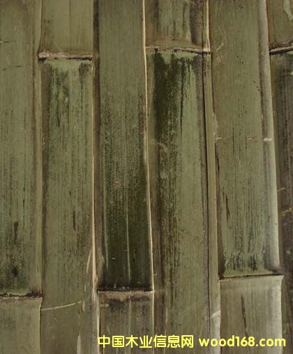 ��װ�ΰ�4(����)