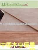 ����鿴Okoume Plywood�Ŵ�ͼƬ