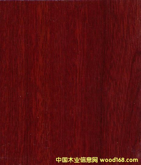 ����鿴ǿ�����ϵذ�8228�Ŵ�ͼƬ